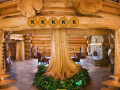 Игра Escape from Log House