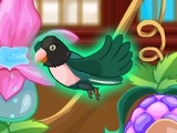 Игра My Sweet Bird