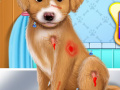 Игра Fashion Pet Doctor