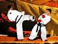 Ігра TaeKwon-Do