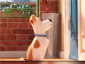 Игра Hidden Letters in The Secret Life of Pets