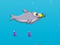 Игра Big Fat Dolphin