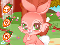 Игра Cute Bunny