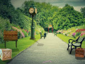 Игра Can You Escape The Park