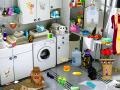 Игра Washing Room