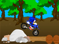 Игра Cross Sonic Race 