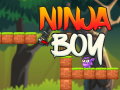 Ігра Ninja Boy
