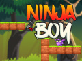 Игра Ninja Boy