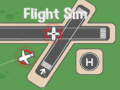 Ігра Flight Sim