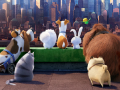 Игра The Secret Life Of Pets Find Objects