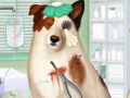 Ігра Doctor For Dog With a Blog