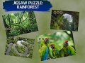 Игра Jigsaw Puzzle Rain Forest 