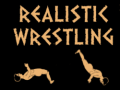 Игра Realistic wrestling