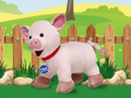 Игра Catch The Pig