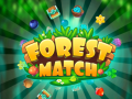 Игра Forest Match