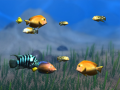 Ігра Sea Fishes 2