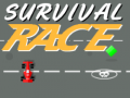 Игра Survival Race