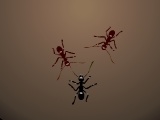 Игра Ants Arena