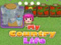 Игра My County Life