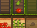 Игра Fruit Gardener