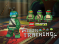 Игра Teenage Mutant Ninja Turtles: Ninja Training