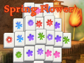 Игра Spring Flower