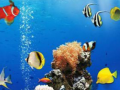Ігра Sea Underwater Difference