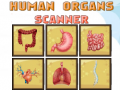 Игра Human Organs Scanner