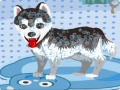 Игра My Cute Dog Bathing