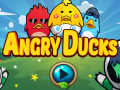 Игра Angry Ducks