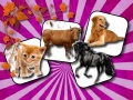 Игра Domestic Animal Memory Challenge