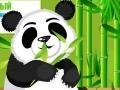 Игра Panda Care