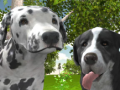 Ігра Dog Simulator 3d