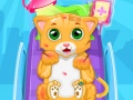 Игра Little Cat Doctor