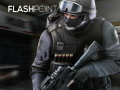 Игра Flashpoint