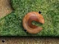 Игра Eggs Escape