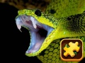 Игра Snake Puzzle Challenge