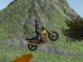 Игра Dirt Bike Rider