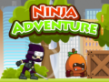 Ігра Ninja Adventure