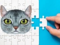 Игра Abyssinian Puzzle Challenge