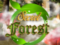 Ігра Secret Forest