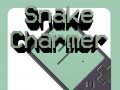 Игра Snake Charmer