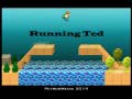 Игра Running Ted