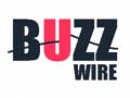 Ігра Buzz Wire