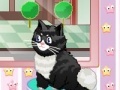 Игра Cat Salon