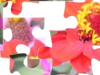 Игра Flowers 2