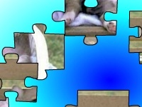 Игра Funny puppies