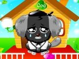 Игра Cute Pet Dog