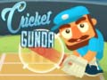 Игра Cricket Gunda