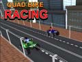 Игра Quad Bike Racing
